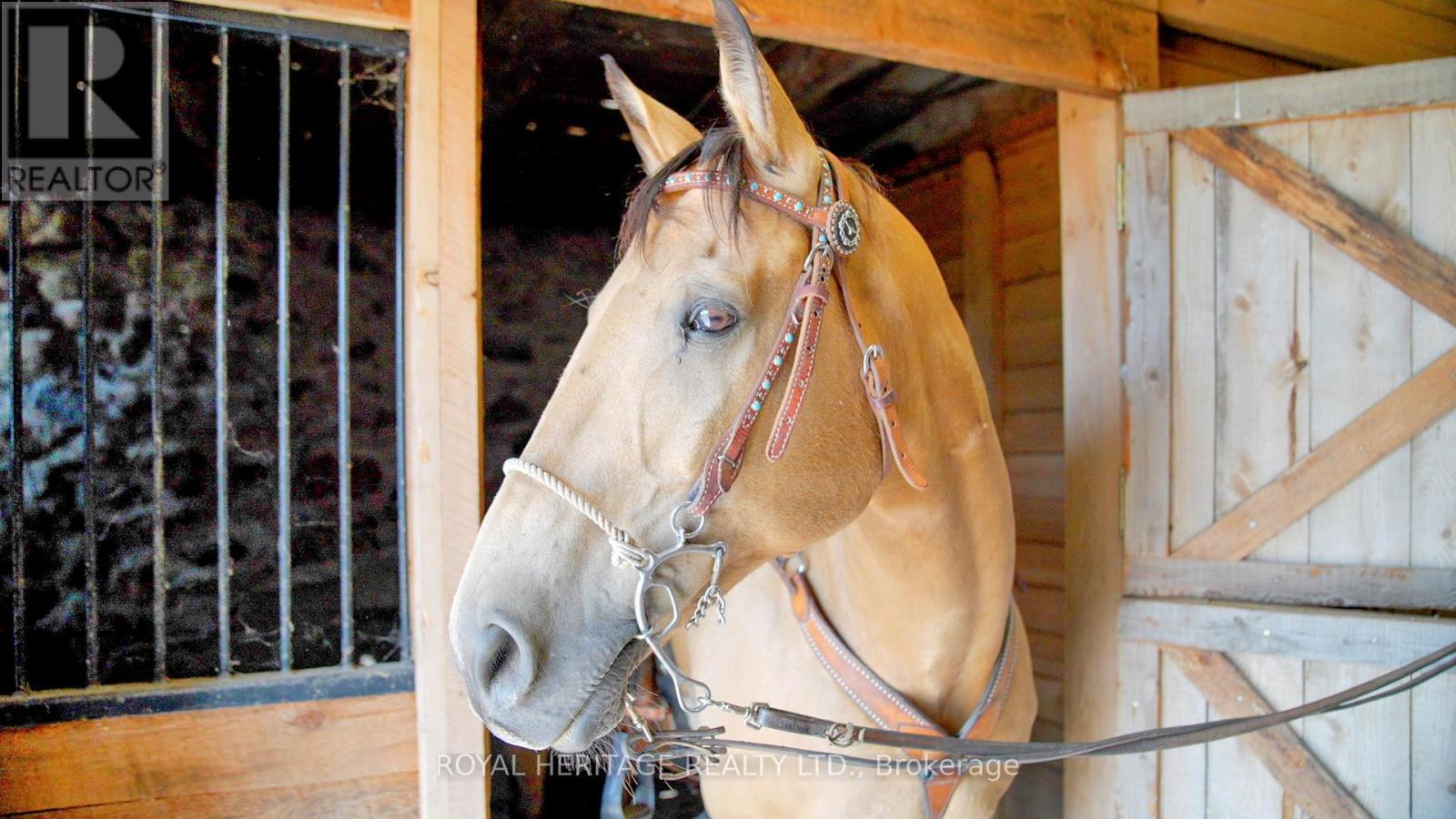 638 County 28 Road, Cavan Monaghan (Cavan Twp), ON