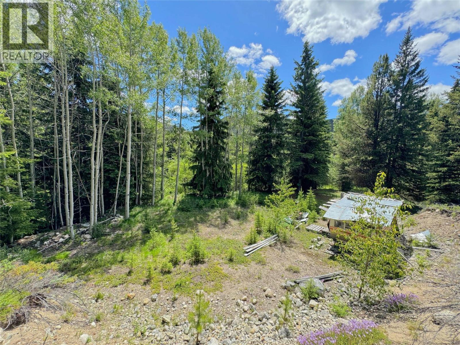Lot 4 Princeton Summerland Road, Princeton, BC