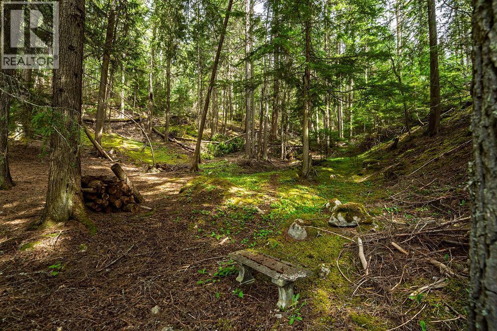 4225 3A Highway, Nelson, BC - Outdoor With View