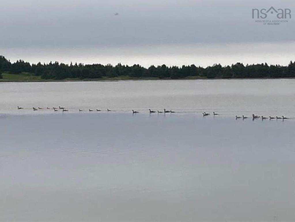 899 Westside Grand River Road, Grand River, NS