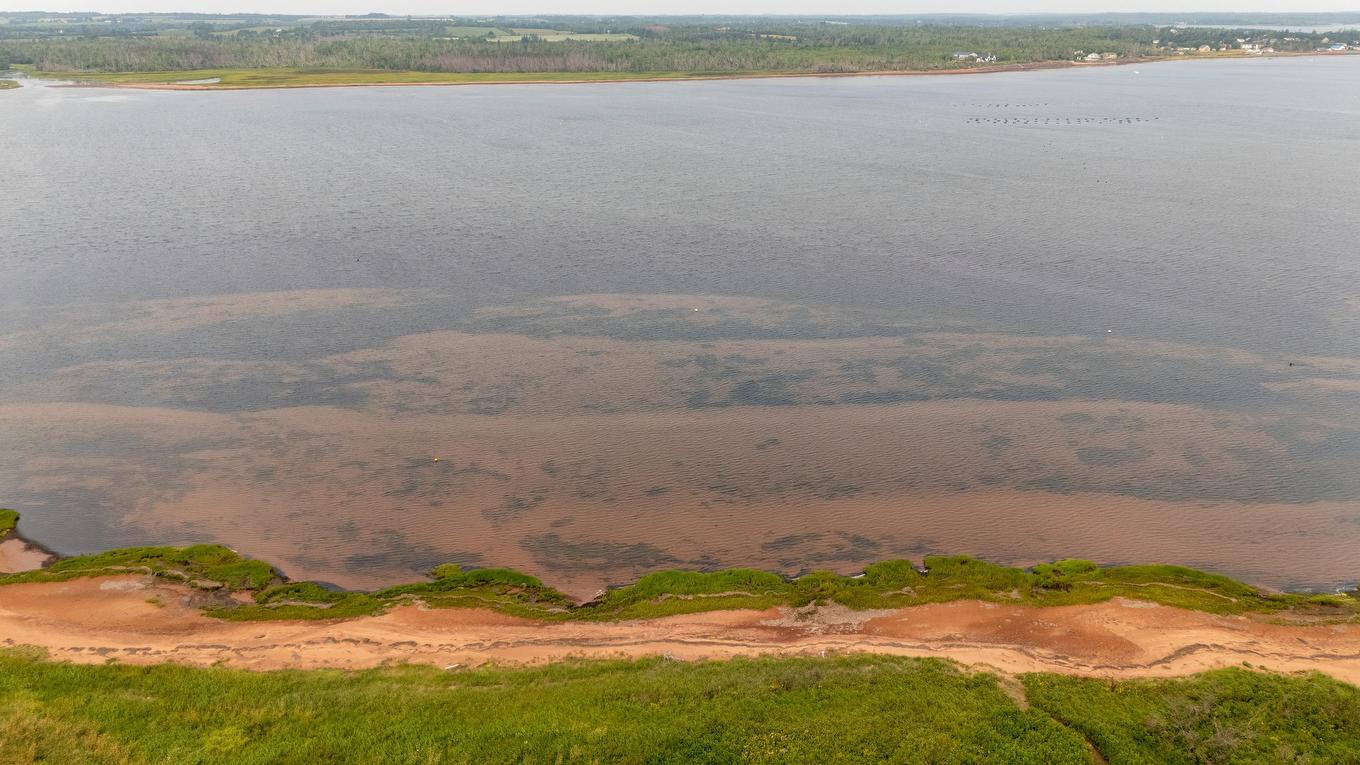 154 Charlottes Shore Lane, Tracadie Cross, PE