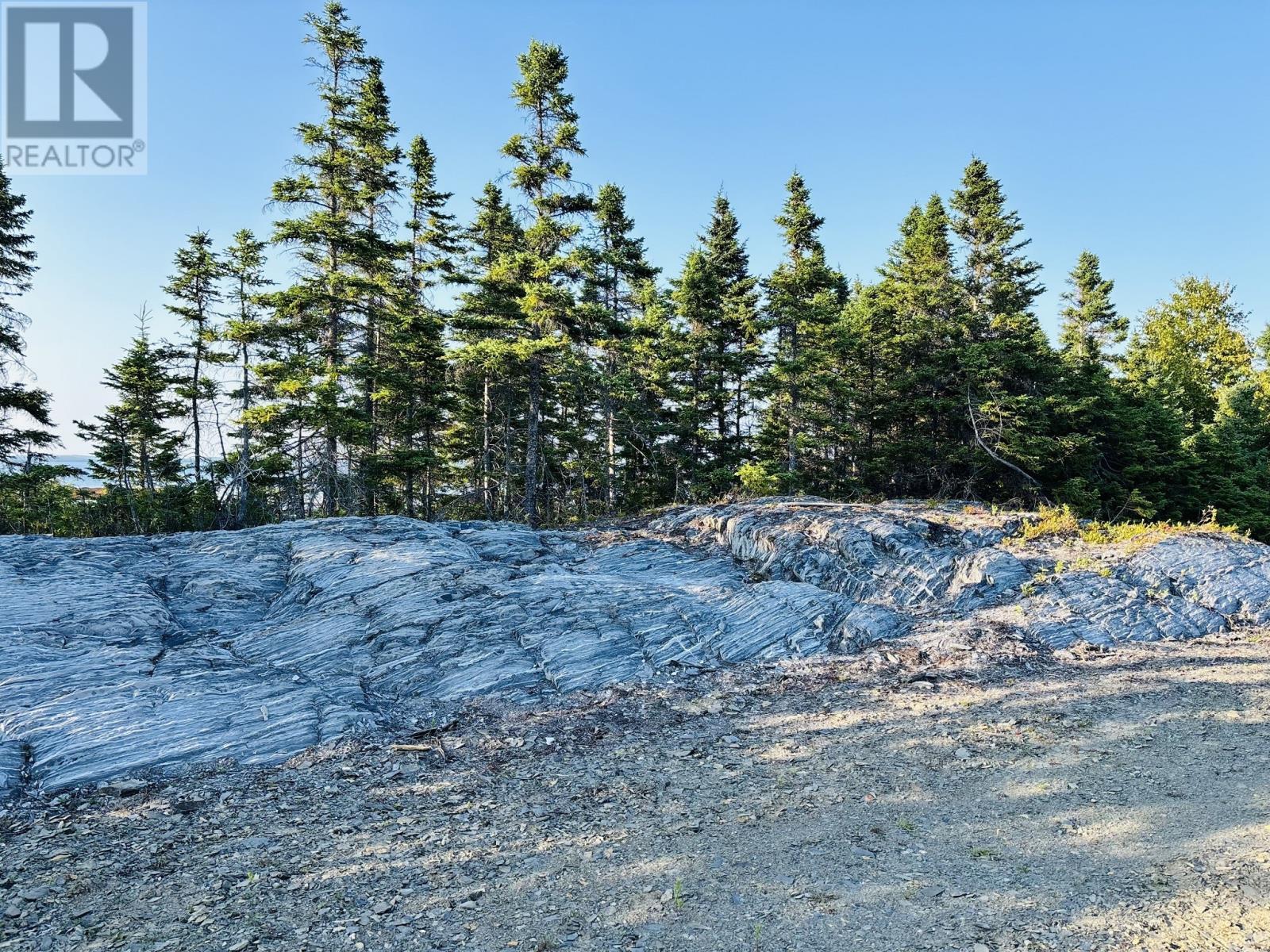 37 Tibbeys Point Road, Victoria Cove, NL - Outdoor With Body Of Water