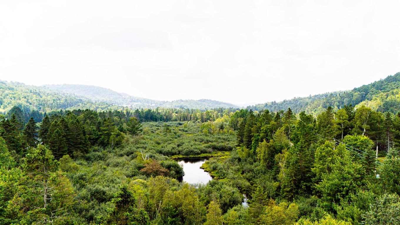 Overall view - 2180 Ch. De La Rivière, Val-David, QC