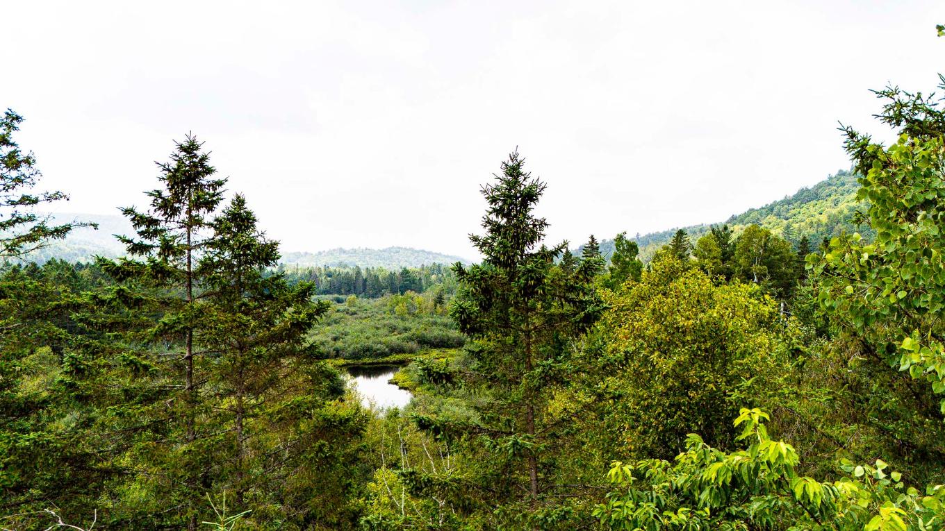 Overall view - 2180 Ch. De La Rivière, Val-David, QC