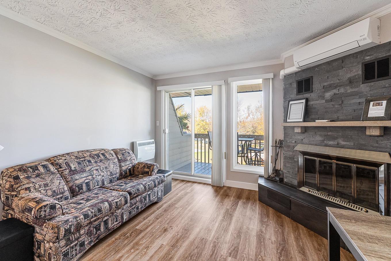 Salon - D-203-261 Rue Merry S., Magog, QC - Indoor Photo Showing Living Room With Fireplace