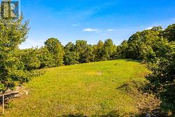 Picturesque treed setting -