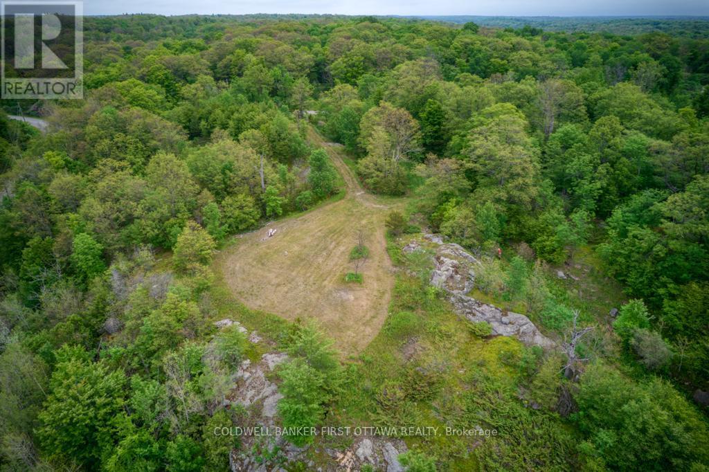 Mature trees - 16 Grey Owl Road, Frontenac (Frontenac South), ON