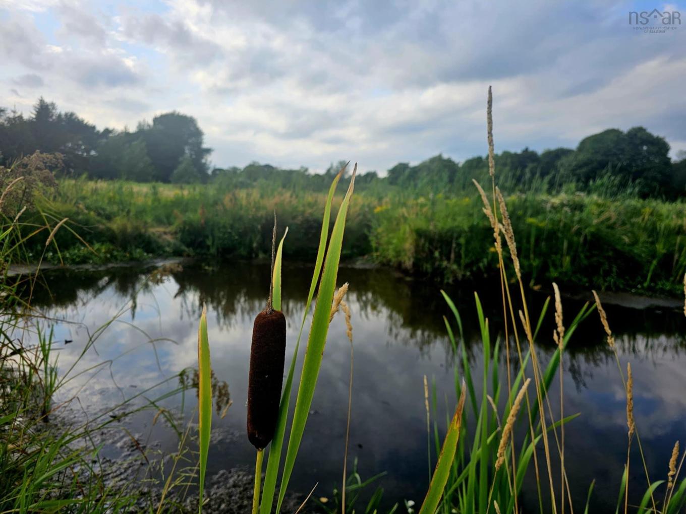 435 Prince Street, Truro, NS