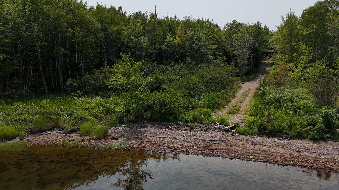 3-20 Macleod Point Road, Bucklaw, NS