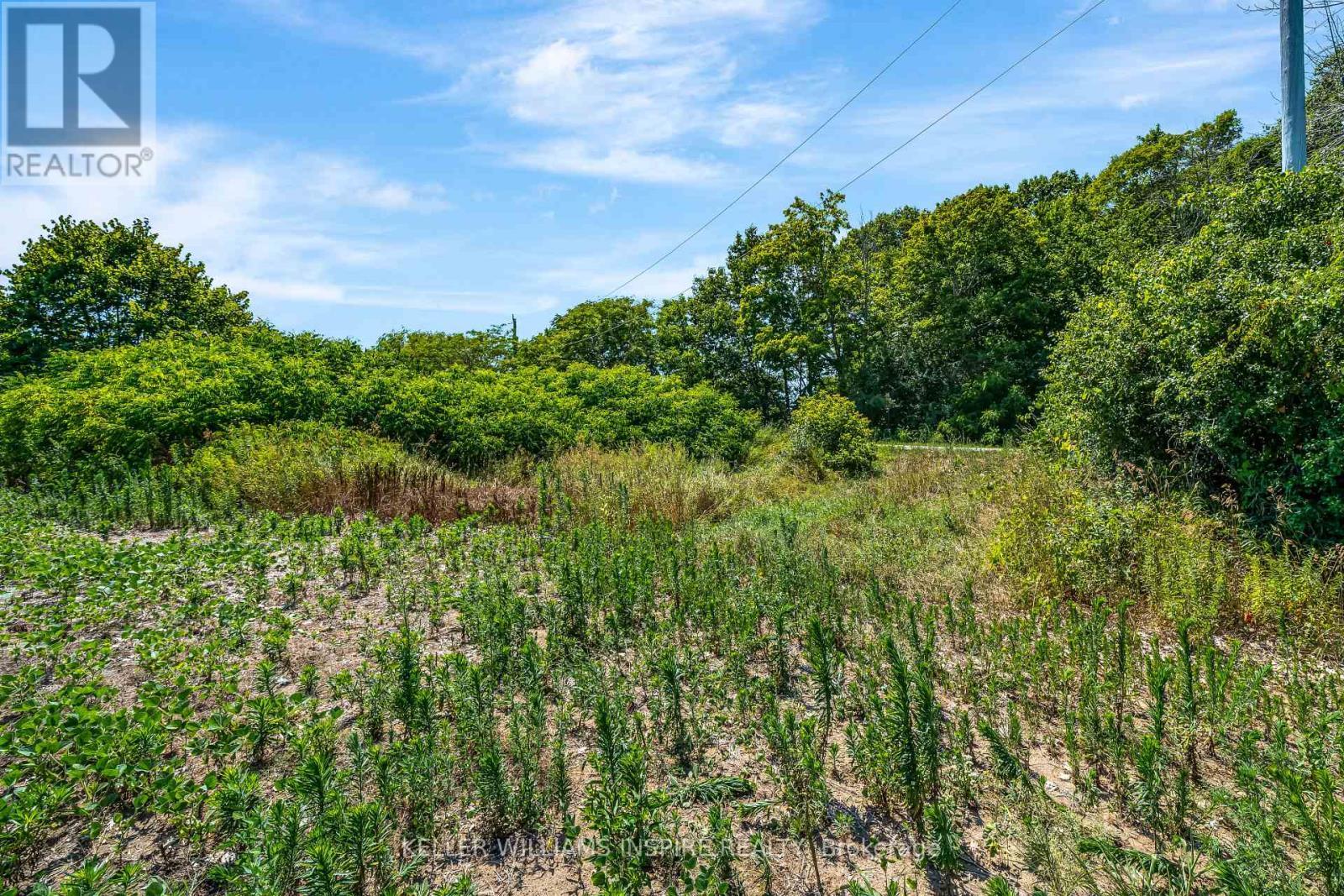 00 Loyalist Parkway, Prince Edward County (Hillier Ward), ON