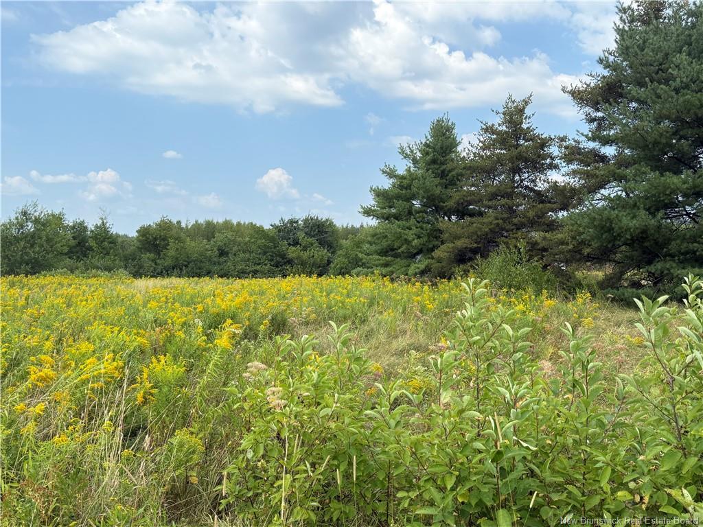 22-A Mcwilliams Rd, Salisbury, NB