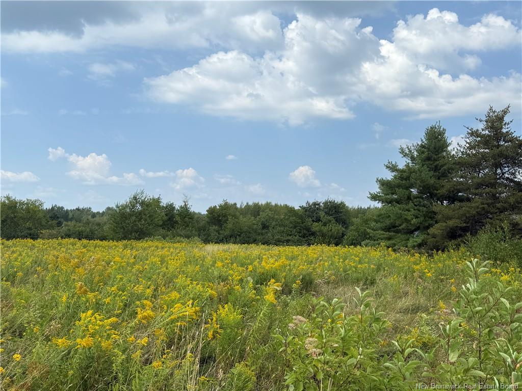 22-A Mcwilliams Rd, Salisbury, NB