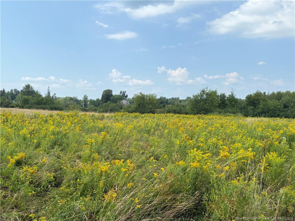 22-A Mcwilliams Rd, Salisbury, NB