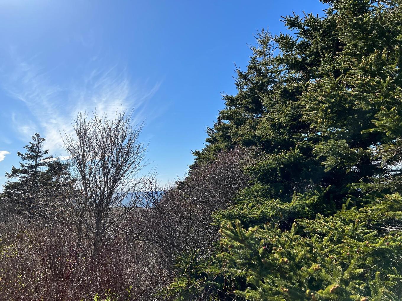 11838 Cabot Trail, Cap Le Moine, NS