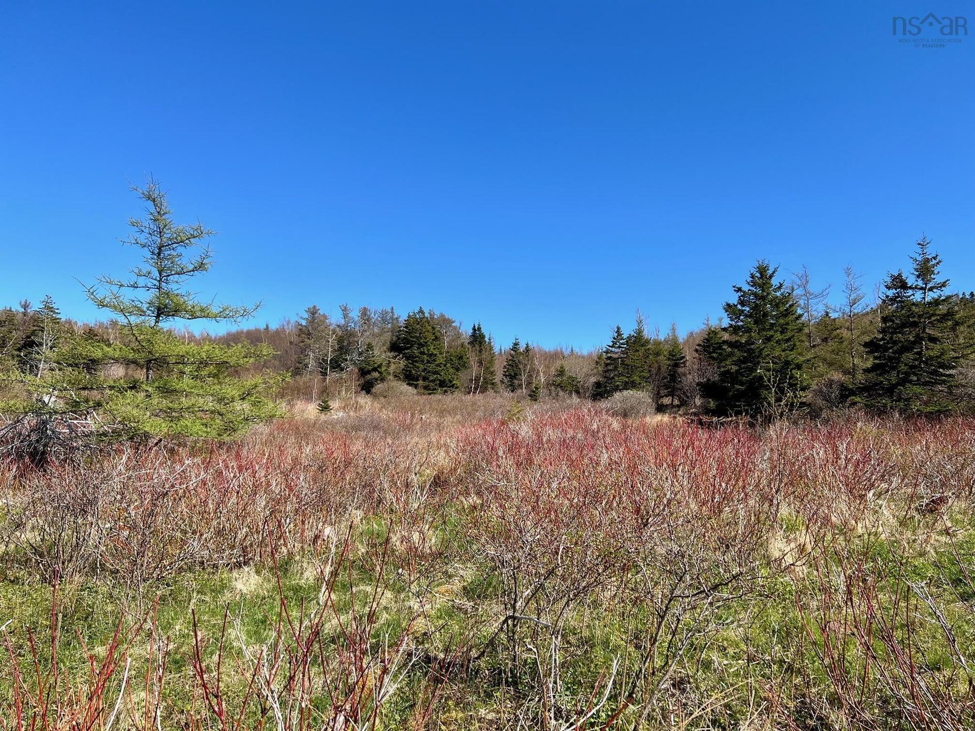 11838 Cabot Trail, Cap Le Moine, NS