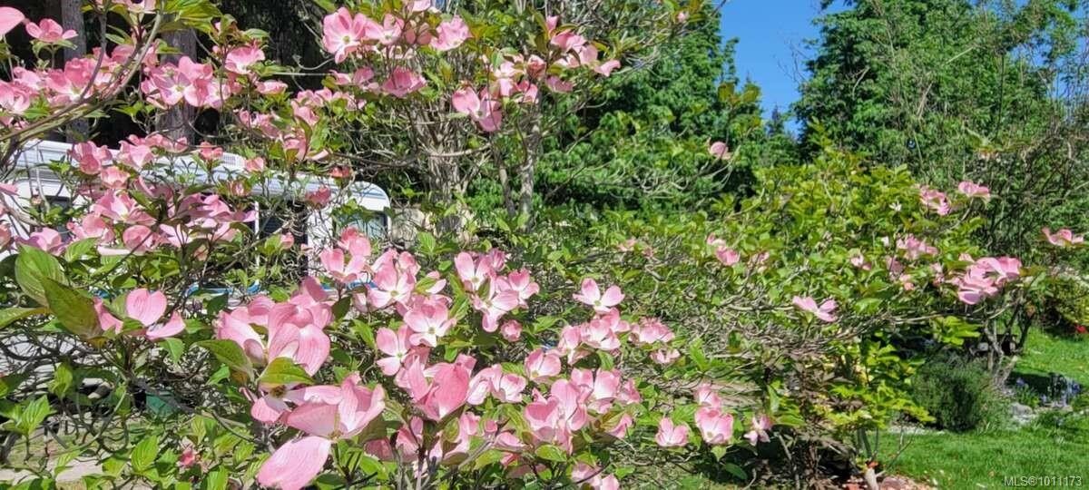 467 Dukes Rd, Salt Spring, BC