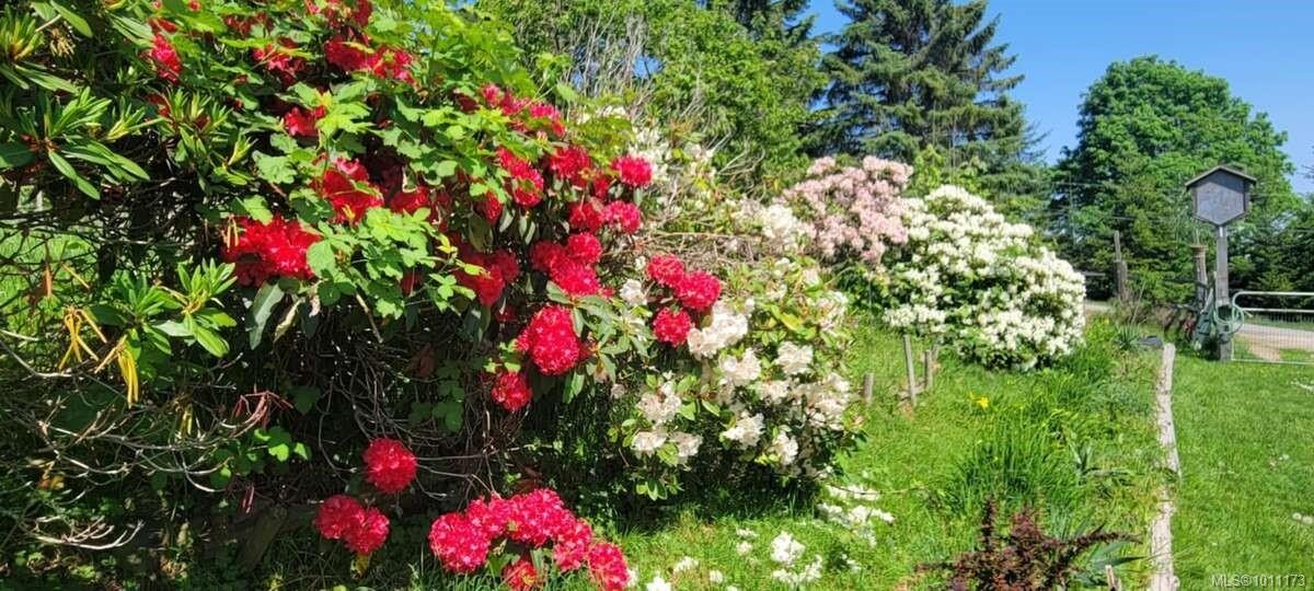 467 Dukes Rd, Salt Spring, BC