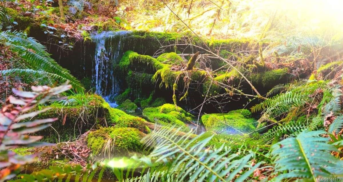 467 Dukes Rd, Salt Spring, BC