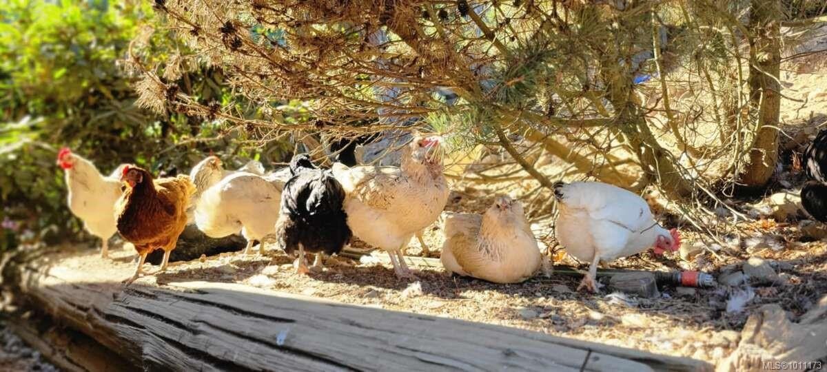 467 Dukes Rd, Salt Spring, BC