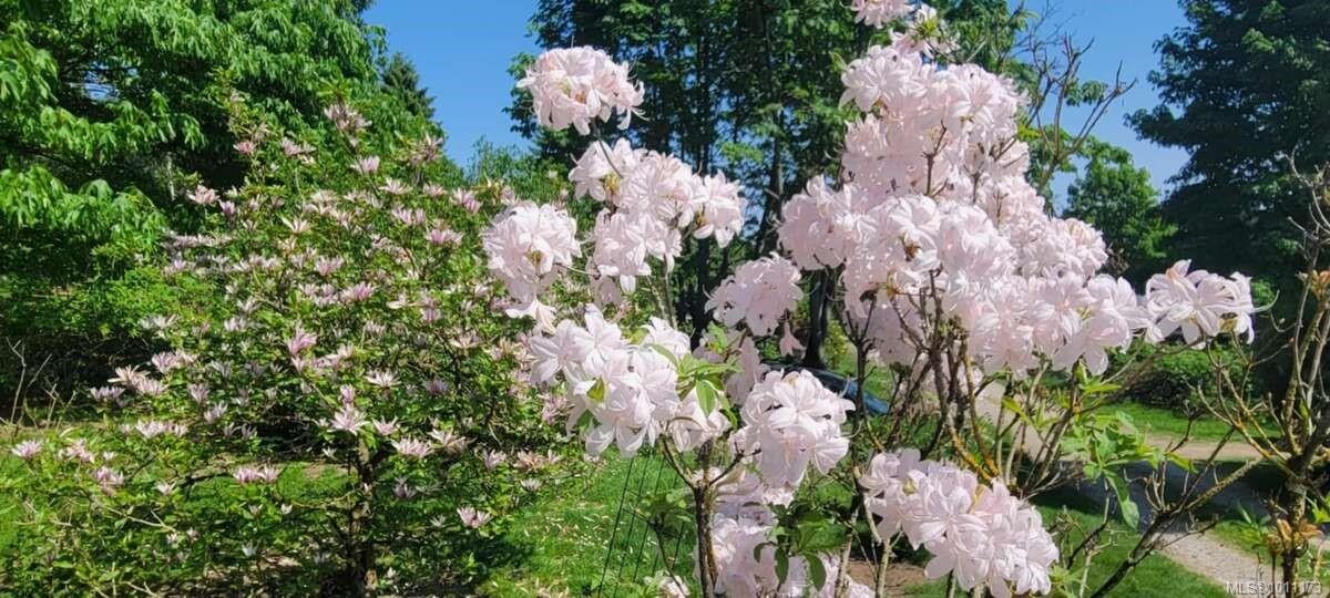 467 Dukes Rd, Salt Spring, BC