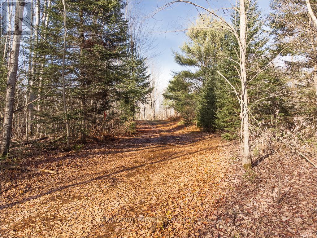 Lot 8 Comfort Drive, Highlands East (Glamorgan), ON