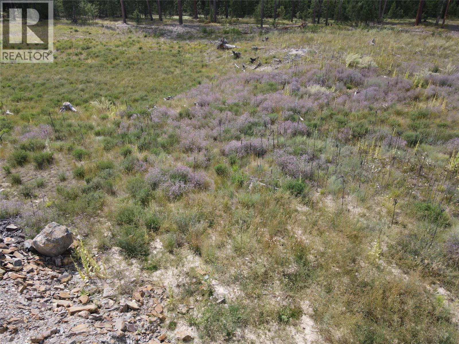 Ml 1036752 8086 Hwy 95 Highway, Kimberley, BC