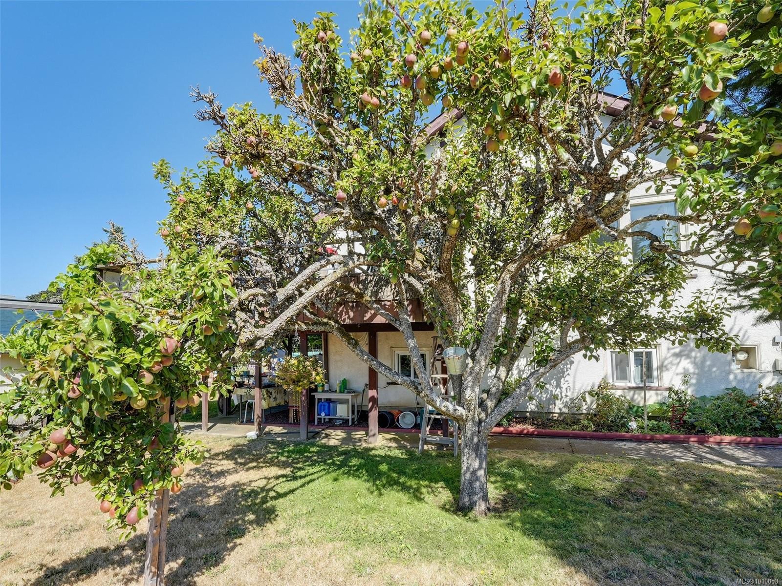 8 Camden Ave, View Royal, BC