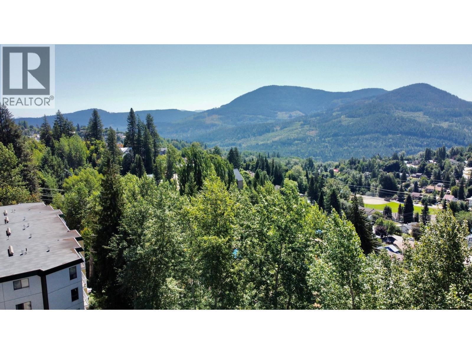 1611 Nickleplate Road Unit# 206, Rossland, BC - Outdoor With View