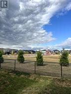 Backing on to park -