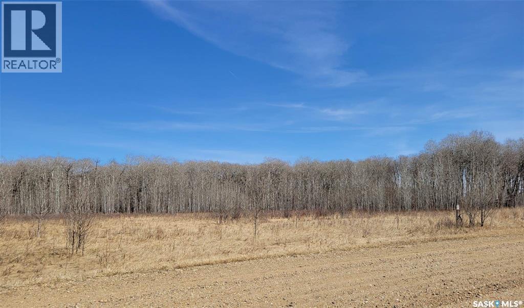 9 Lakeshore Drive, Saltcoats Rm No. 213, SK