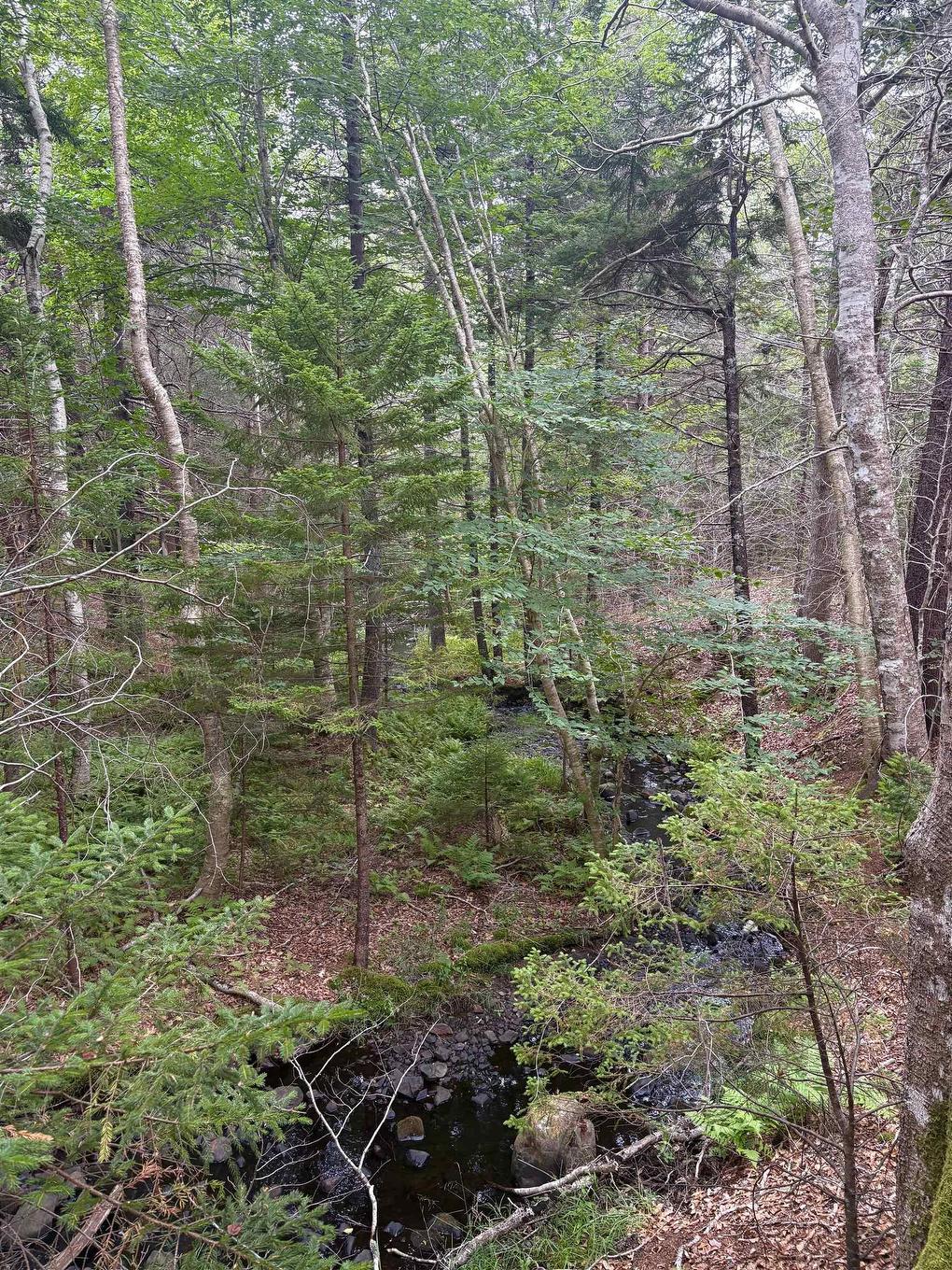 415 Sissiboo Road, Weymouth, NS