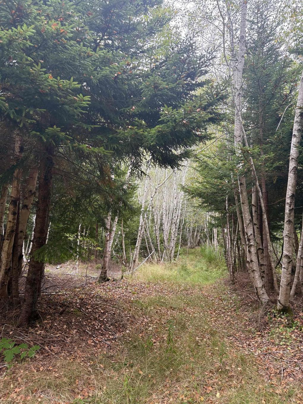 415 Sissiboo Road, Weymouth, NS