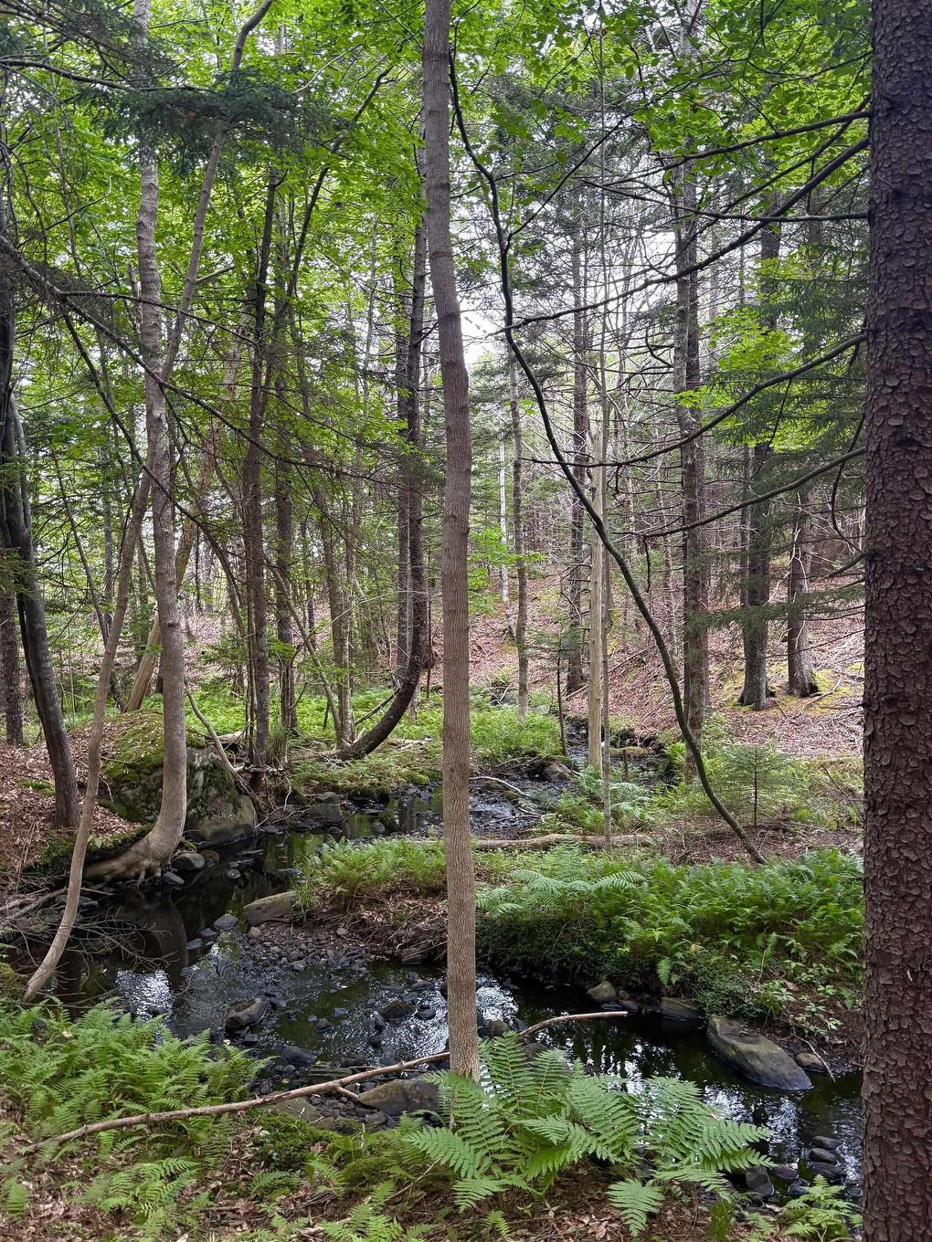 415 Sissiboo Road, Weymouth, NS