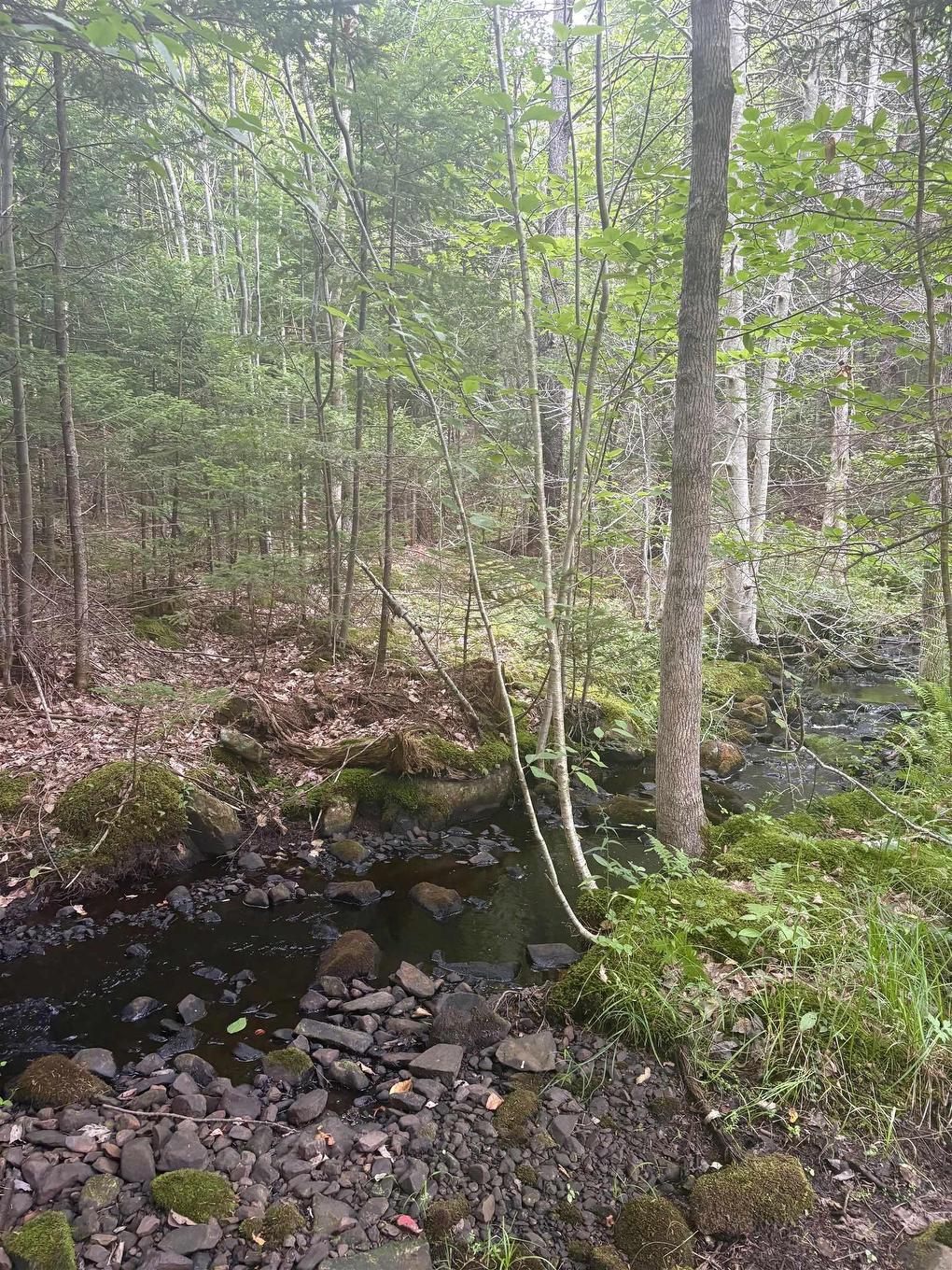 415 Sissiboo Road, Weymouth, NS