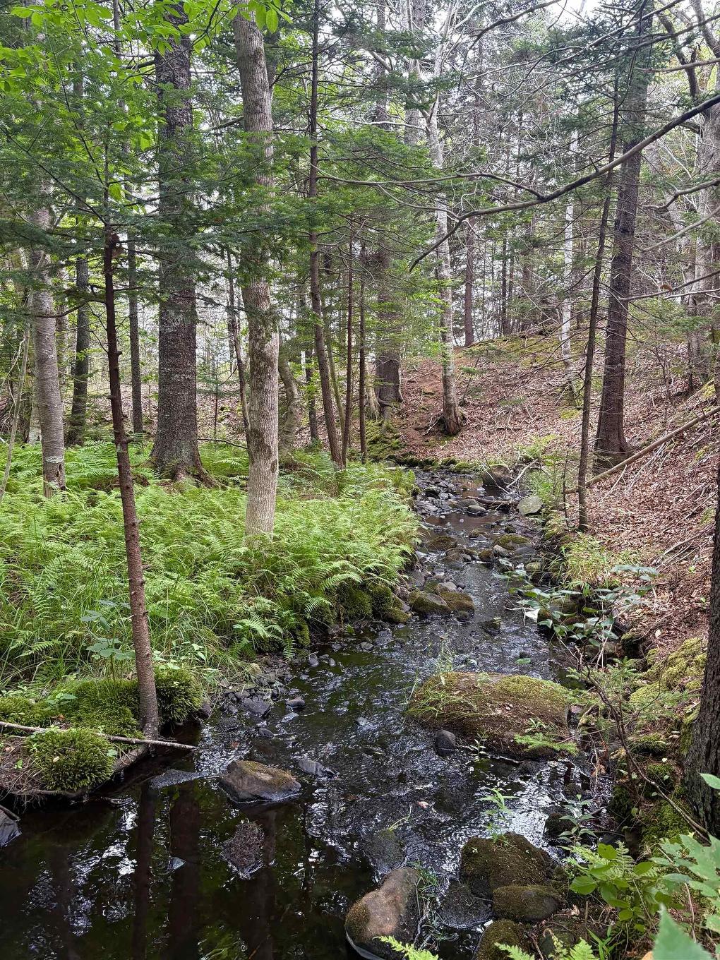 415 Sissiboo Road, Weymouth, NS