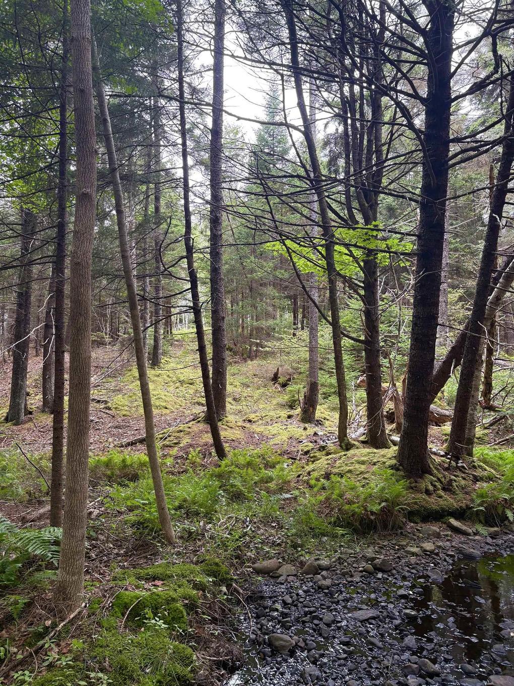 415 Sissiboo Road, Weymouth, NS