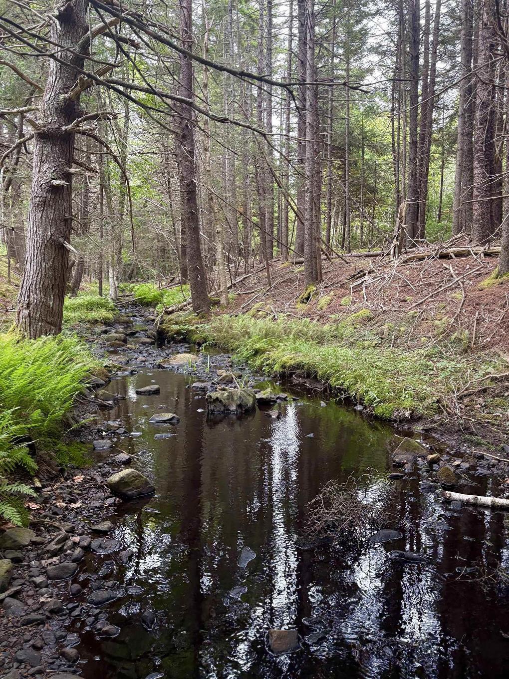 415 Sissiboo Road, Weymouth, NS