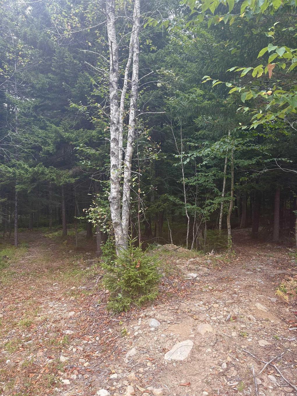 415 Sissiboo Road, Weymouth, NS