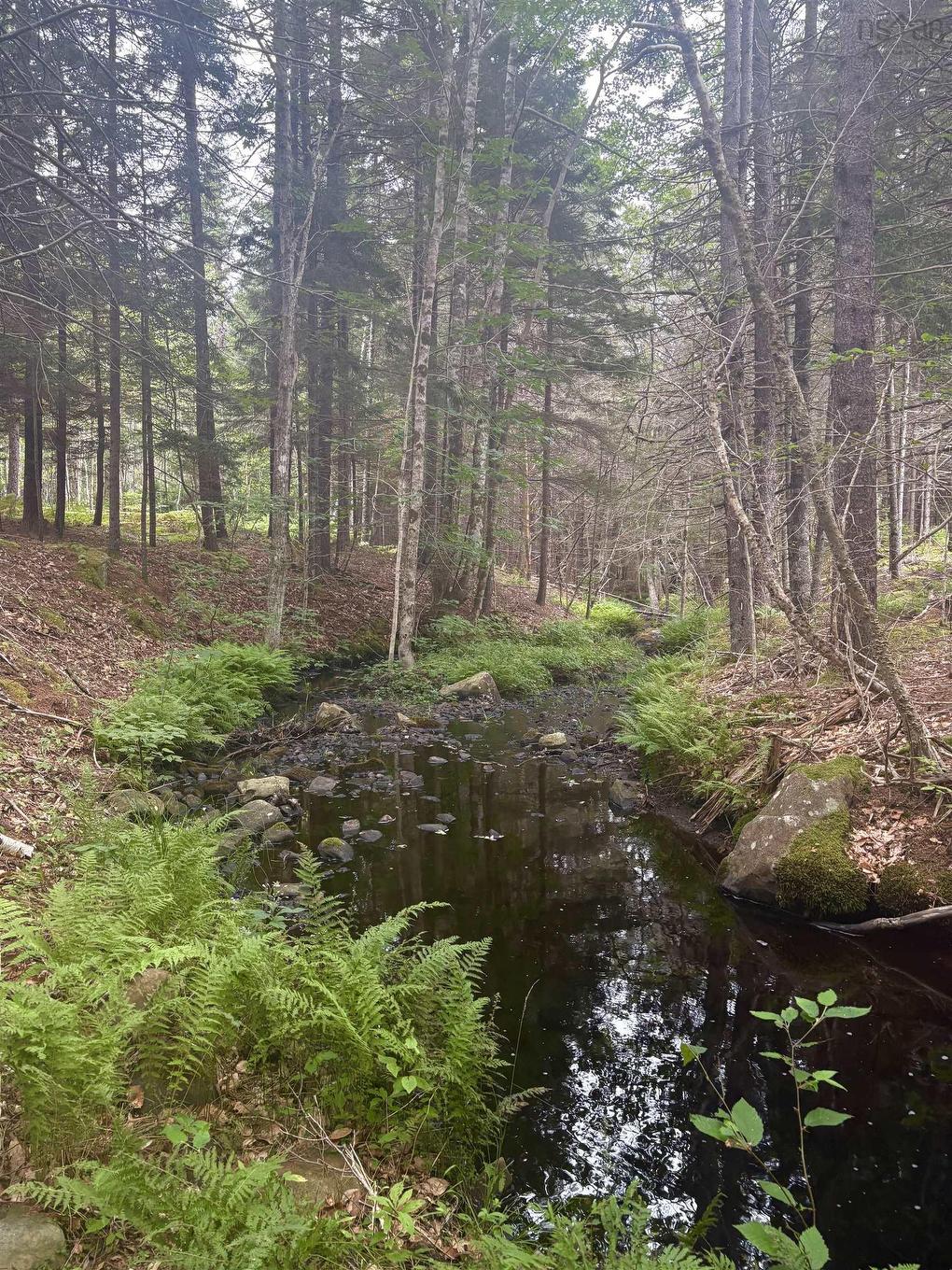 415 Sissiboo Road, Weymouth, NS