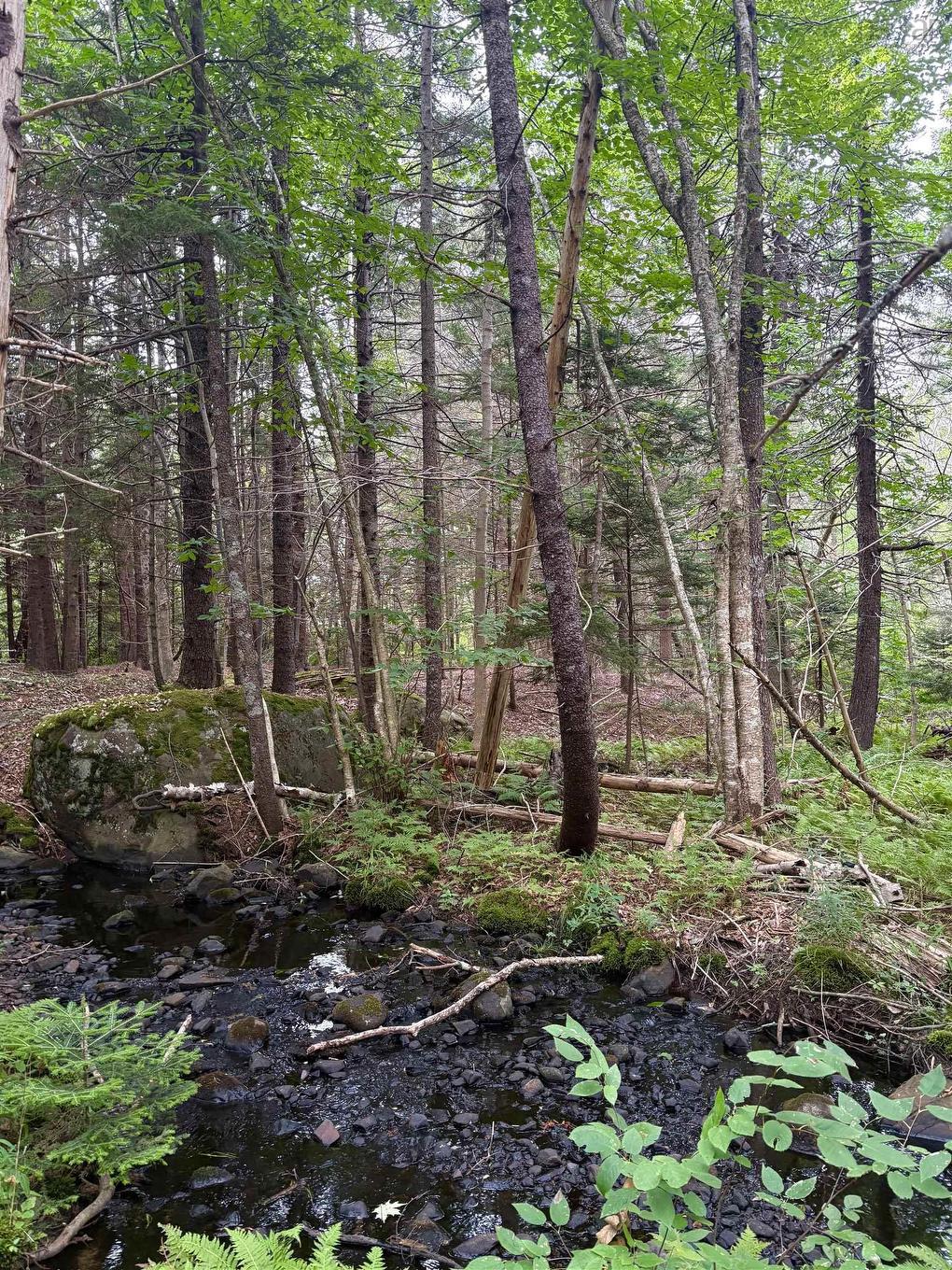 415 Sissiboo Road, Weymouth, NS