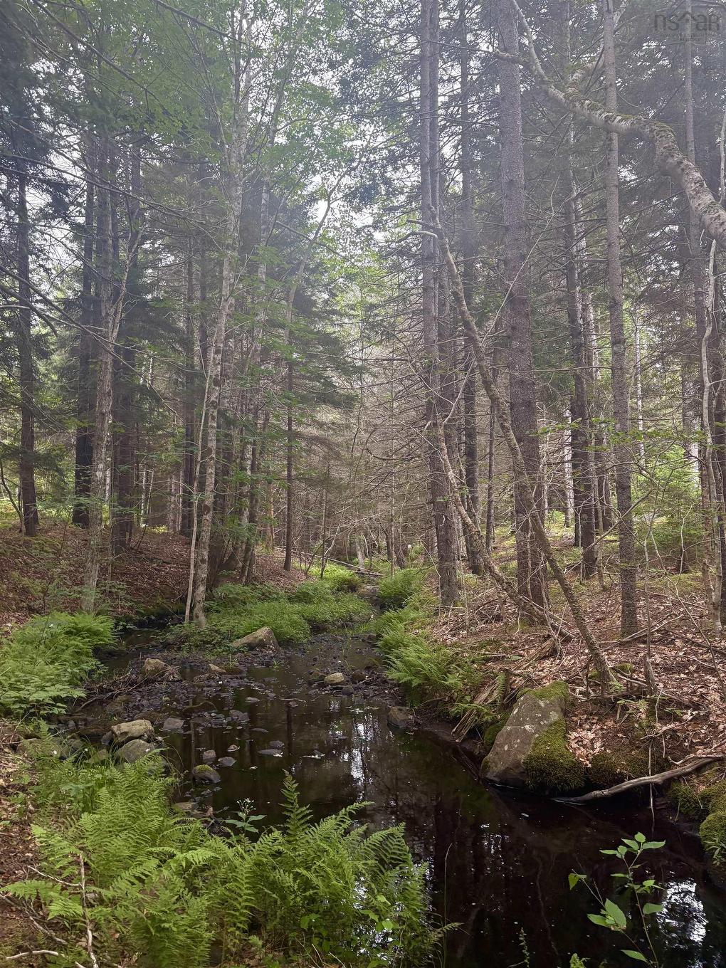 415 Sissiboo Road, Weymouth, NS