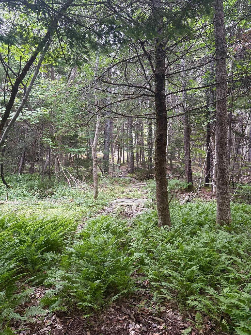 415 Sissiboo Road, Weymouth, NS