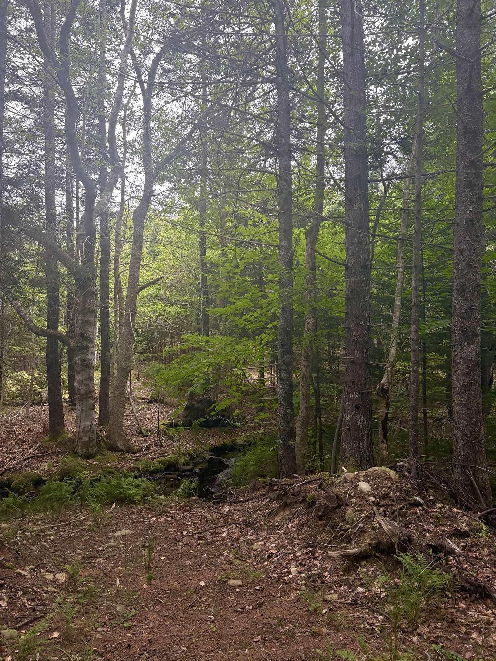 415 Sissiboo Road, Weymouth, NS