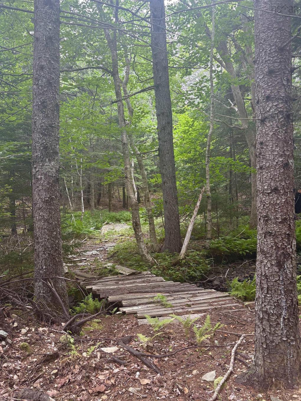 415 Sissiboo Road, Weymouth, NS