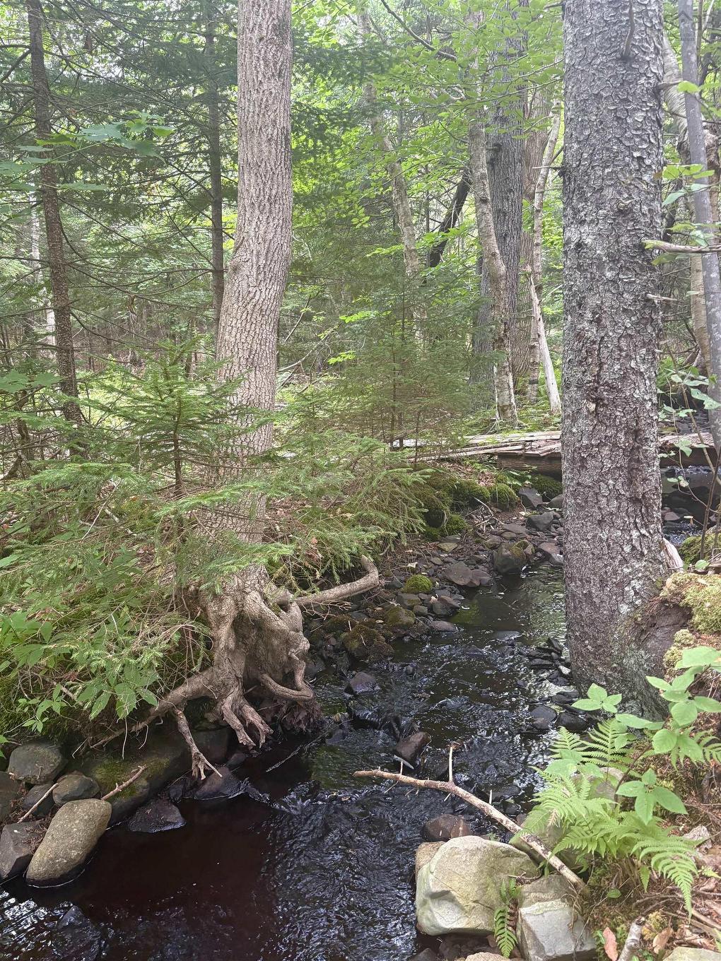 415 Sissiboo Road, Weymouth, NS