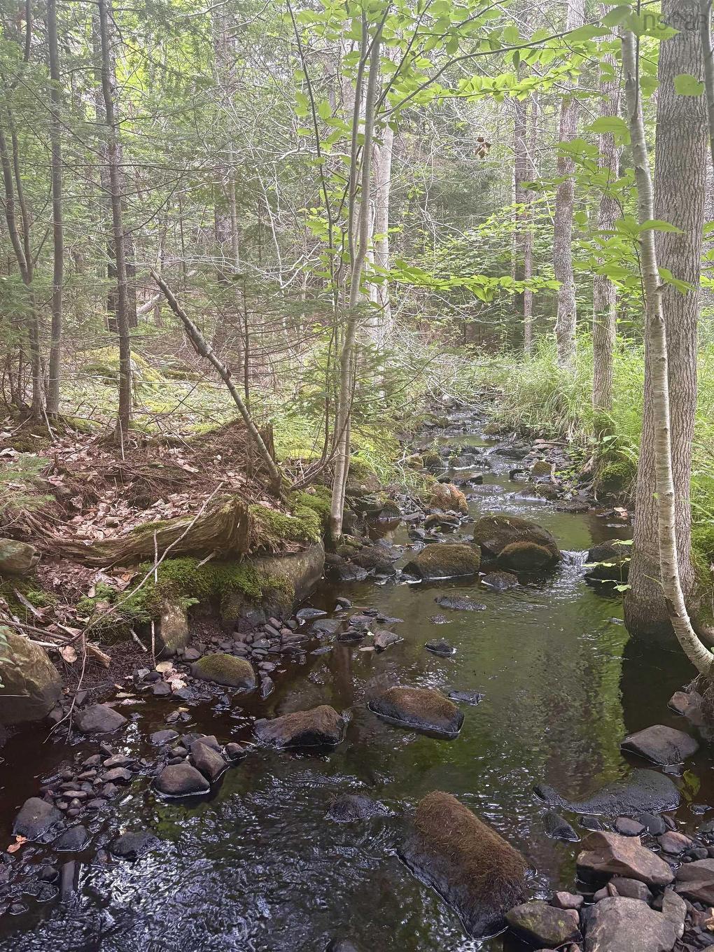 415 Sissiboo Road, Weymouth, NS