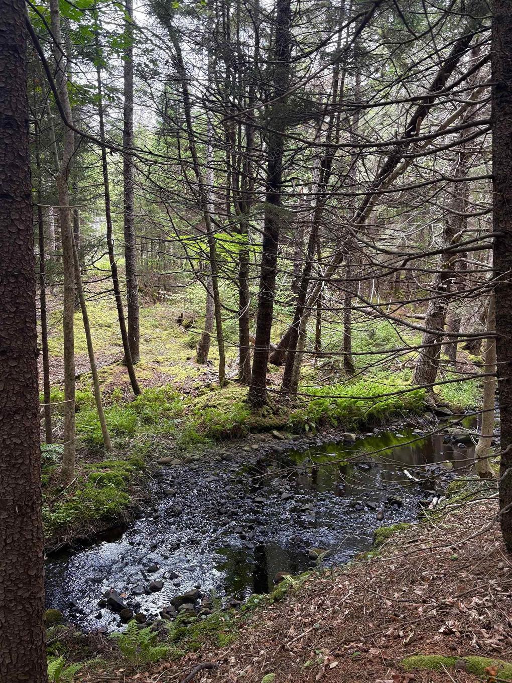 415 Sissiboo Road, Weymouth, NS