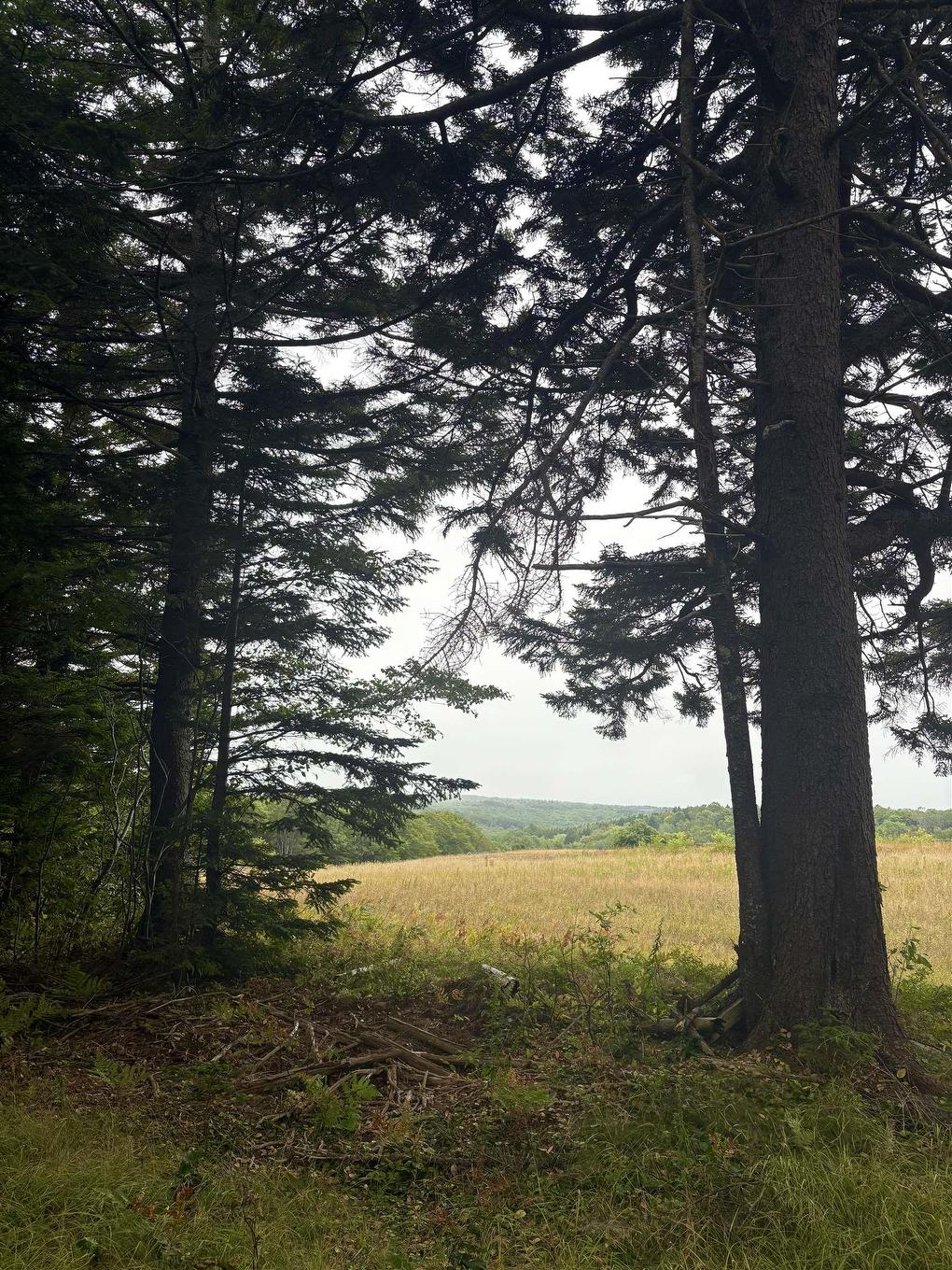 415 Sissiboo Road, Weymouth, NS