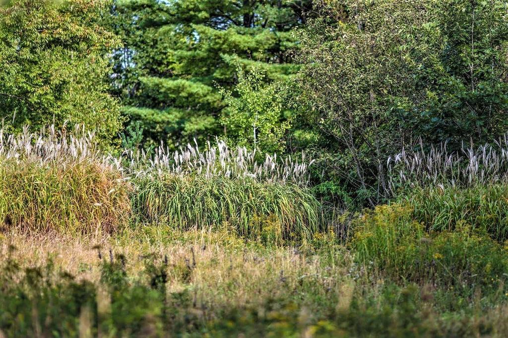 Lot 21-1 & -2 Wye Street, Mahone Bay, NS