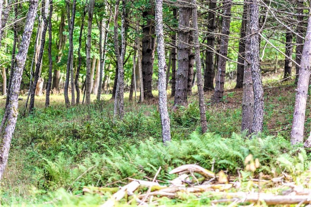 Lot 21-1 & -2 Wye Street, Mahone Bay, NS